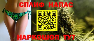 a pvp Ачхой-Мартан